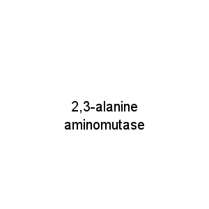 2,3-alanine aminomutase